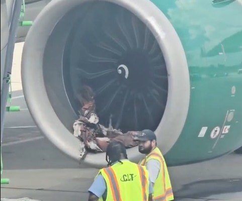 Charlotte Airport Experiences Delays Following Frontier Airlines Plane Incident